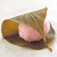 季節の朝生菓子 桜餅