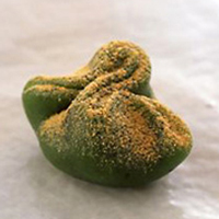季節の朝生菓子 草餅